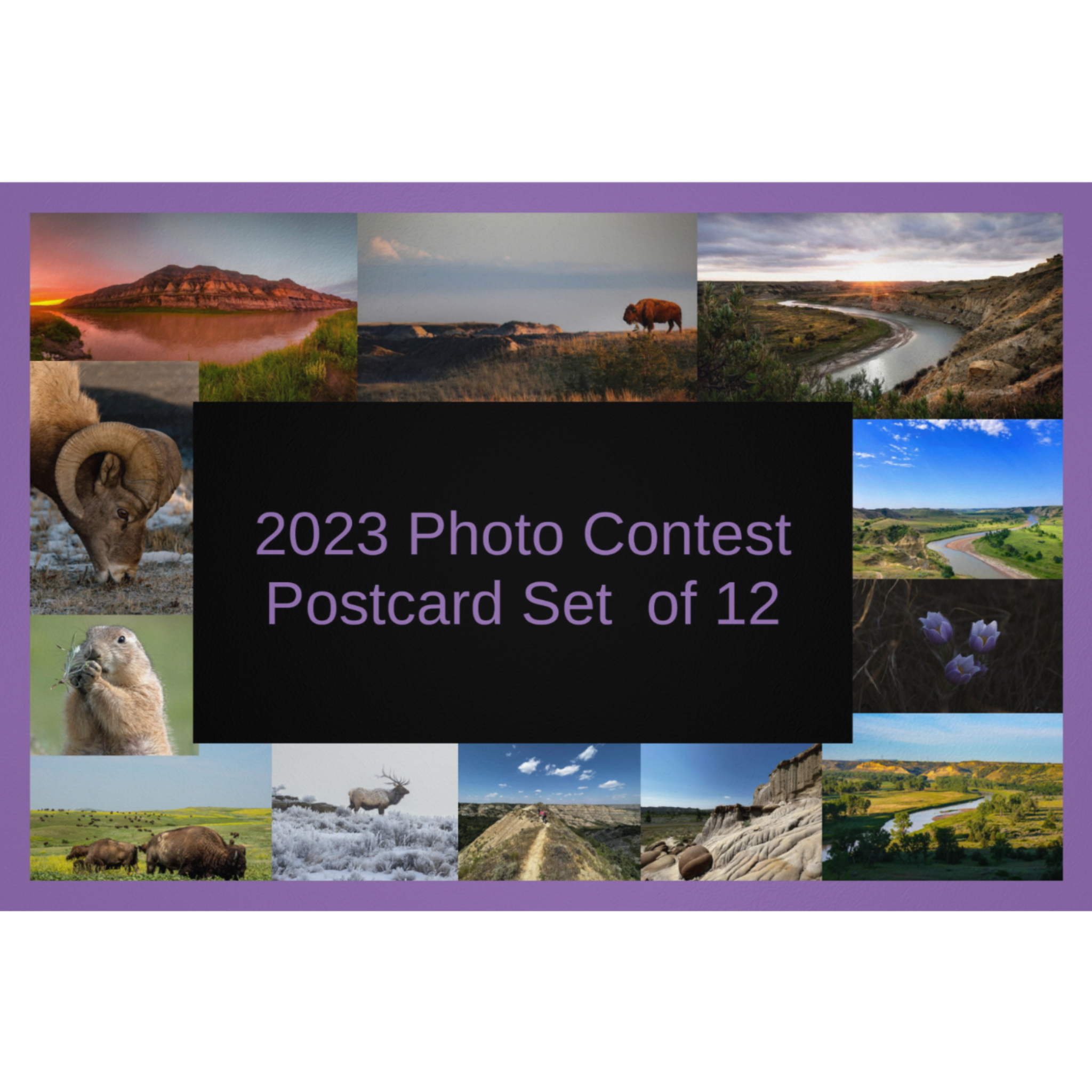 Picture Postboard 2023 Picture Yourself in TRNP Postcard Set – Theodore Roosevelt Nature ...