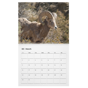 2026_Photo_Contest_Calendar_Main_Open_-_Large_Mockup.png