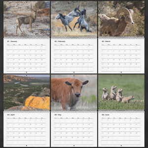 2026_Photo_Contest_Calendar_Pages_1-6_-_Small_Mockup.png