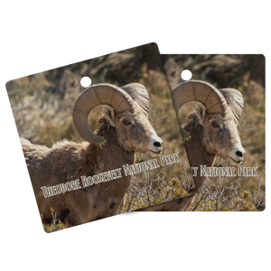 Back_Mockup.png