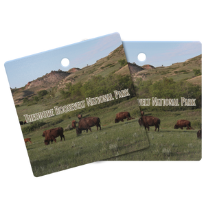 Back_Mockup.png