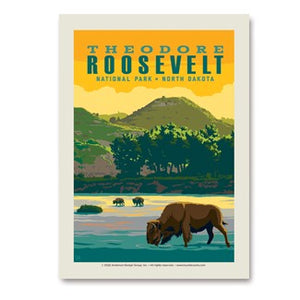 TRNP Bison River Postcard