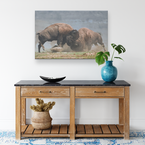 Bison_Fight_Canvas_by_Duane_Hons_-_Onlin_H_Rectangle_Smaller_Lifestyle_Mockup.png