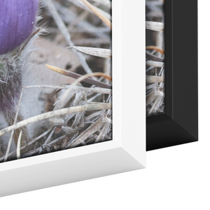 Carol_Priestly_Canvas_Print_with_Black_F_Framed_Canvas_H_Rectangle_Color_Options_Mockup.png