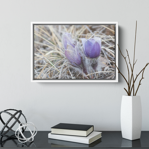 Carol_Priestly_Canvas_Print_with_Black_F_Framed_Canvas_H_Rectangle_Small_Lifesty_Mockup.png