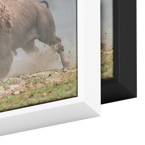 Duane_Hons_Canvas_Print_with_Black_Frame_Framed_Canvas_H_Rectangle_Color_Options_Mockup.png