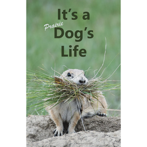 It's a Dogs Life V10