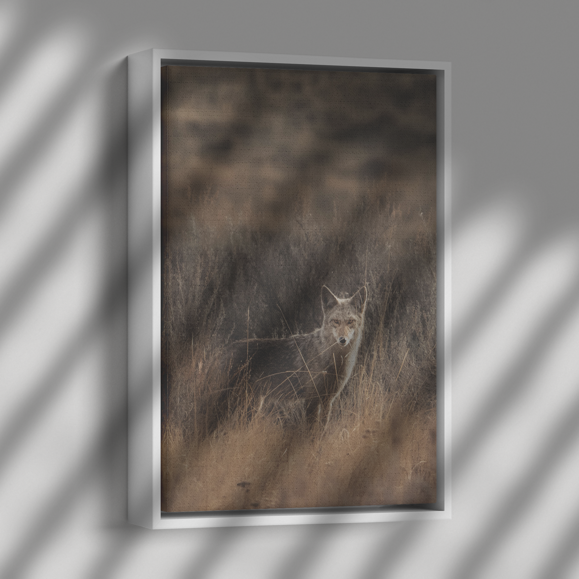 Maggie_Taylor_Canvas_Print_with_Black_Fr_Framed_Canvas_V_Rectangle_Dramatic_Shad_Mockup.png