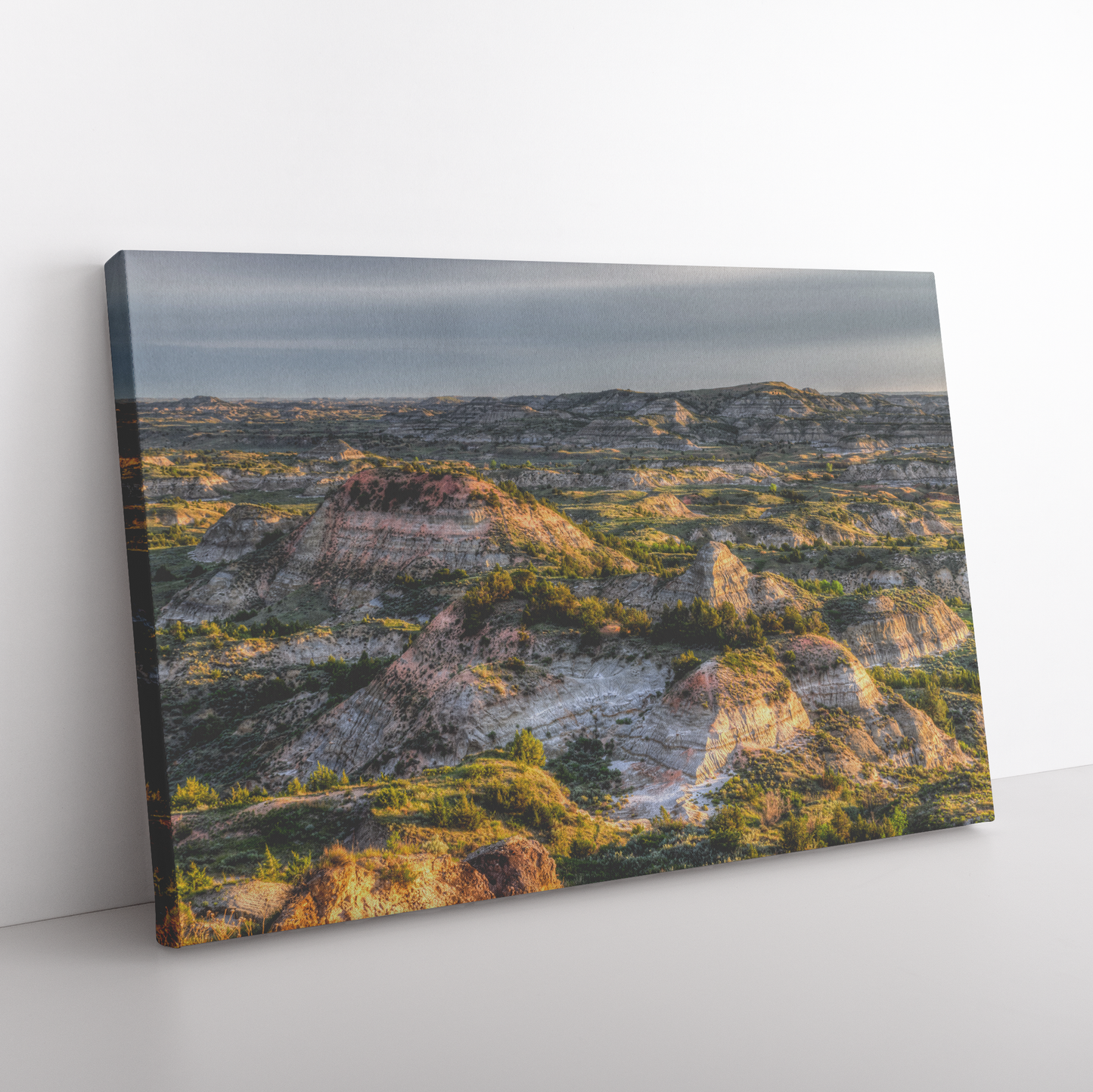 Painted_Canyon_Canvas_Print_-_Online_Exc_H_Rectangle_Angle_Floor_Mockup.png