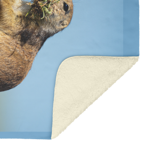 Pdog_Blanket_V_Blanket_Sherpa_Mockup.png