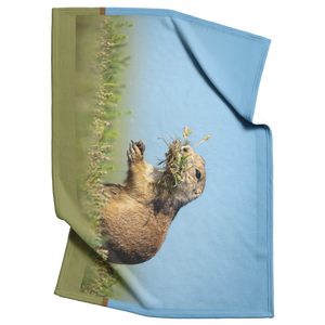 Pdog_Blanket_V_Blanket_Top_Bottom_Folds_Mockup.png