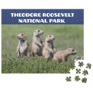 Photo_Contest_Landscape_Puzzle_by_Sue_Sh_252pc_H_Loose_Mockup.png