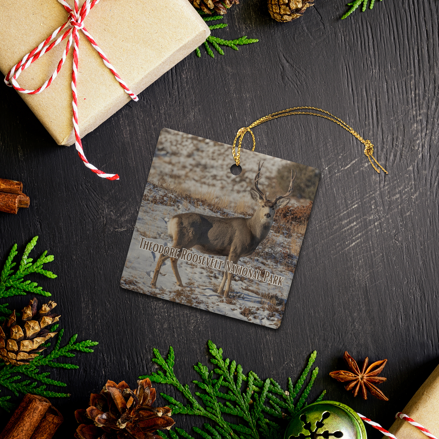 Photo_Contest_Ornament_5_Square_Lifestyle02_Mockup.png