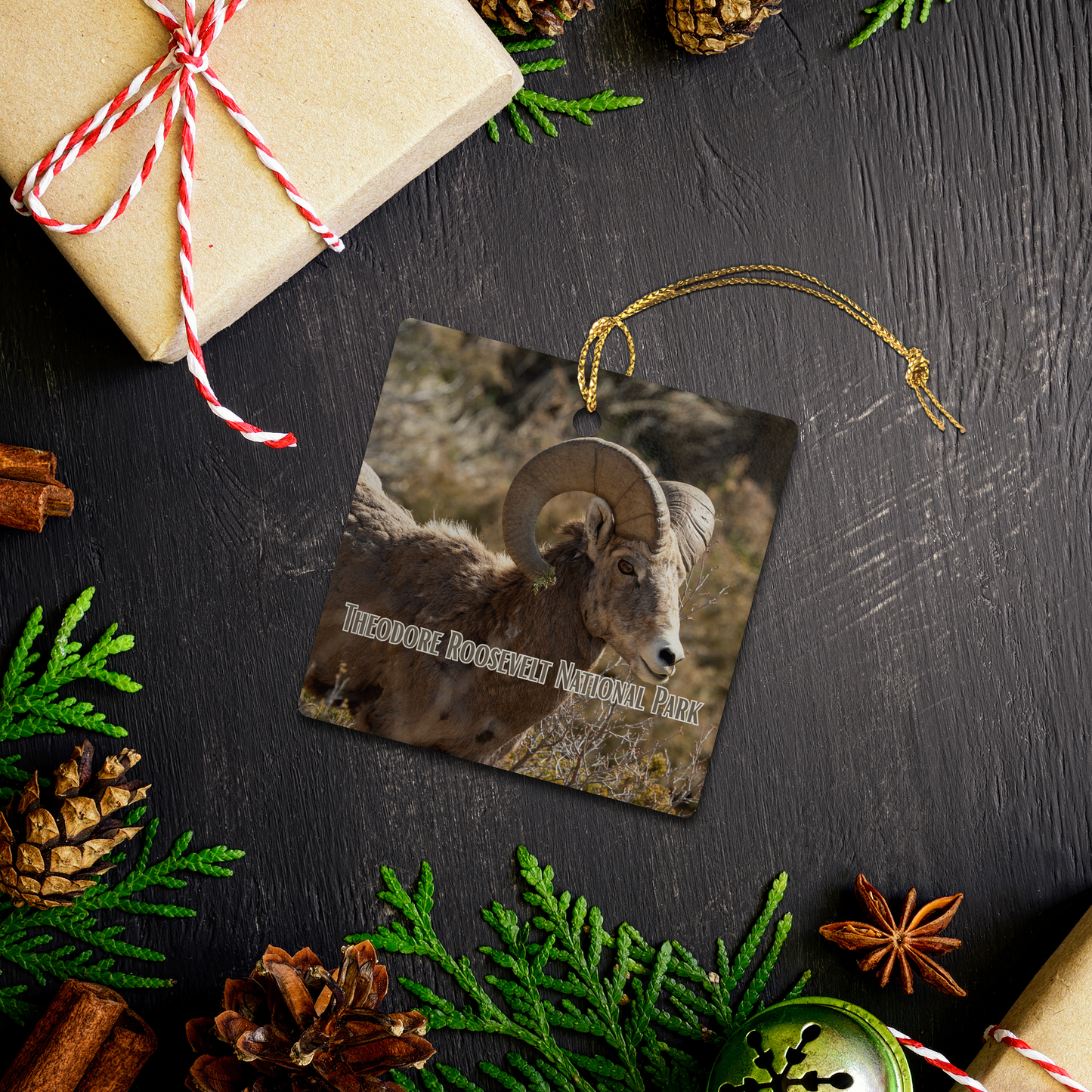 Photo_Contest_Ornament_9_Square_Lifestyle02_Mockup.png