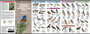 Pocket Naturalist Guides Birds