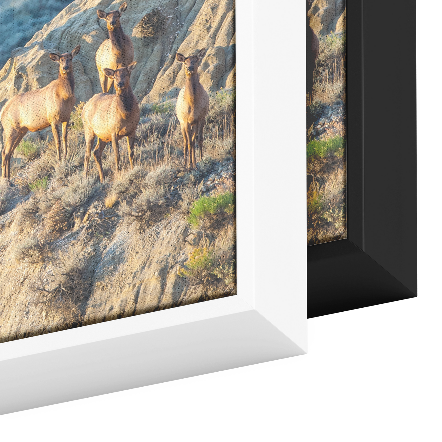 Rolan_Honeyman_Canvas_Print_with_Black_F_Framed_Canvas_H_Rectangle_Color_Options_Mockup.png