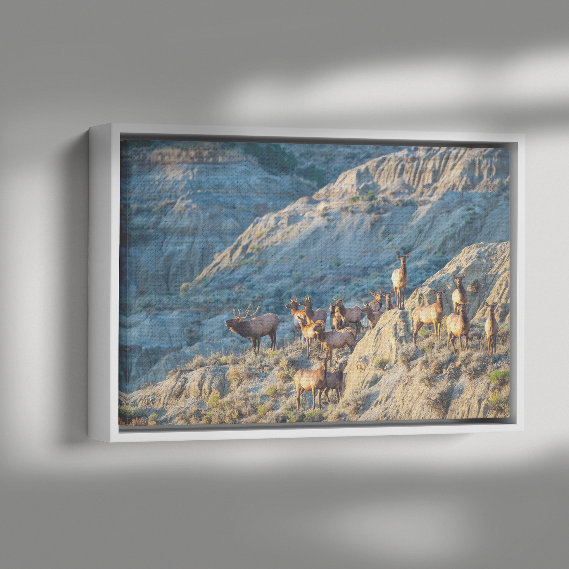 Rolan_Honeyman_Canvas_Print_with_Black_F_Framed_Canvas_H_Rectangle_Dramatic_Shad_Mockup.png