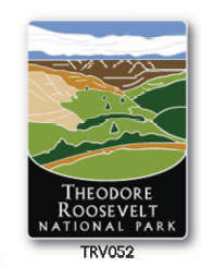 TRNP Travel Series Pin
