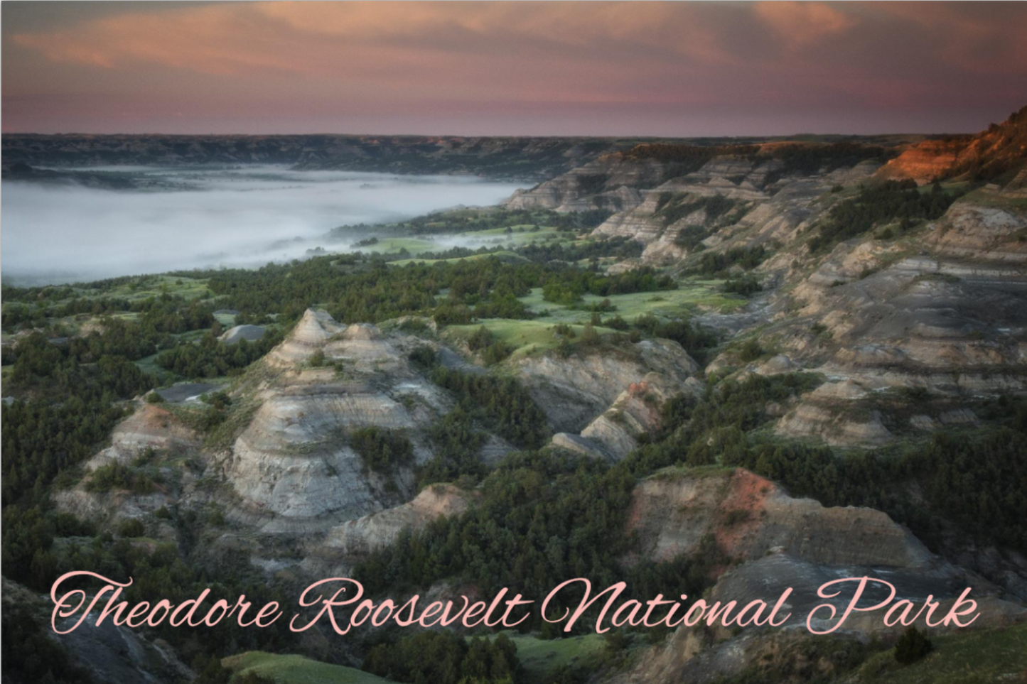 Pink Badlands Postcard