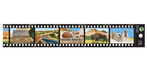 TRNP Film Strip Sticker