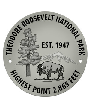 Geodisc Benchmark Hiking Medallion