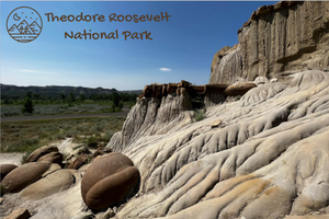 2023 Picture Yourself in TRNP Postcard Set