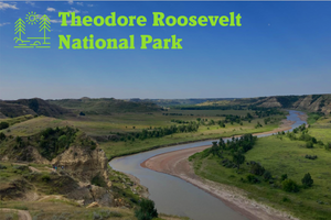 2023 Picture Yourself in TRNP Postcard Set