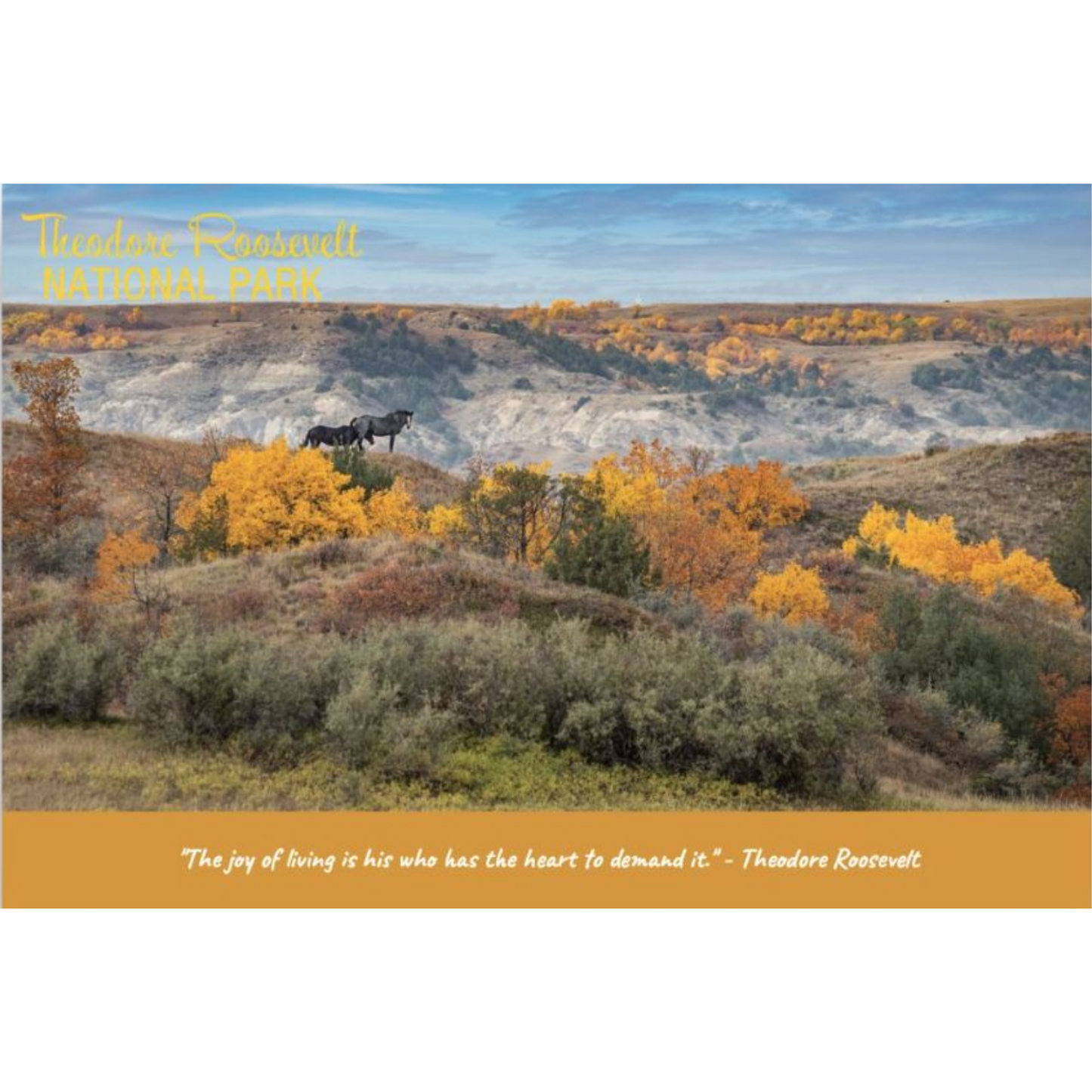 Seasons Autumn Postcard