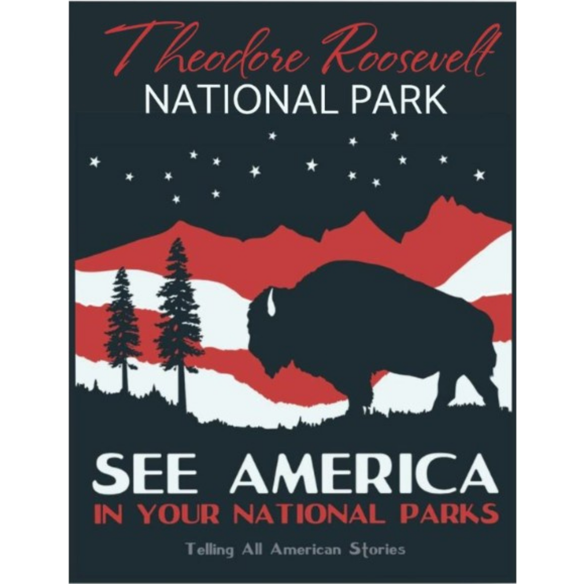 See America RWB Postcard