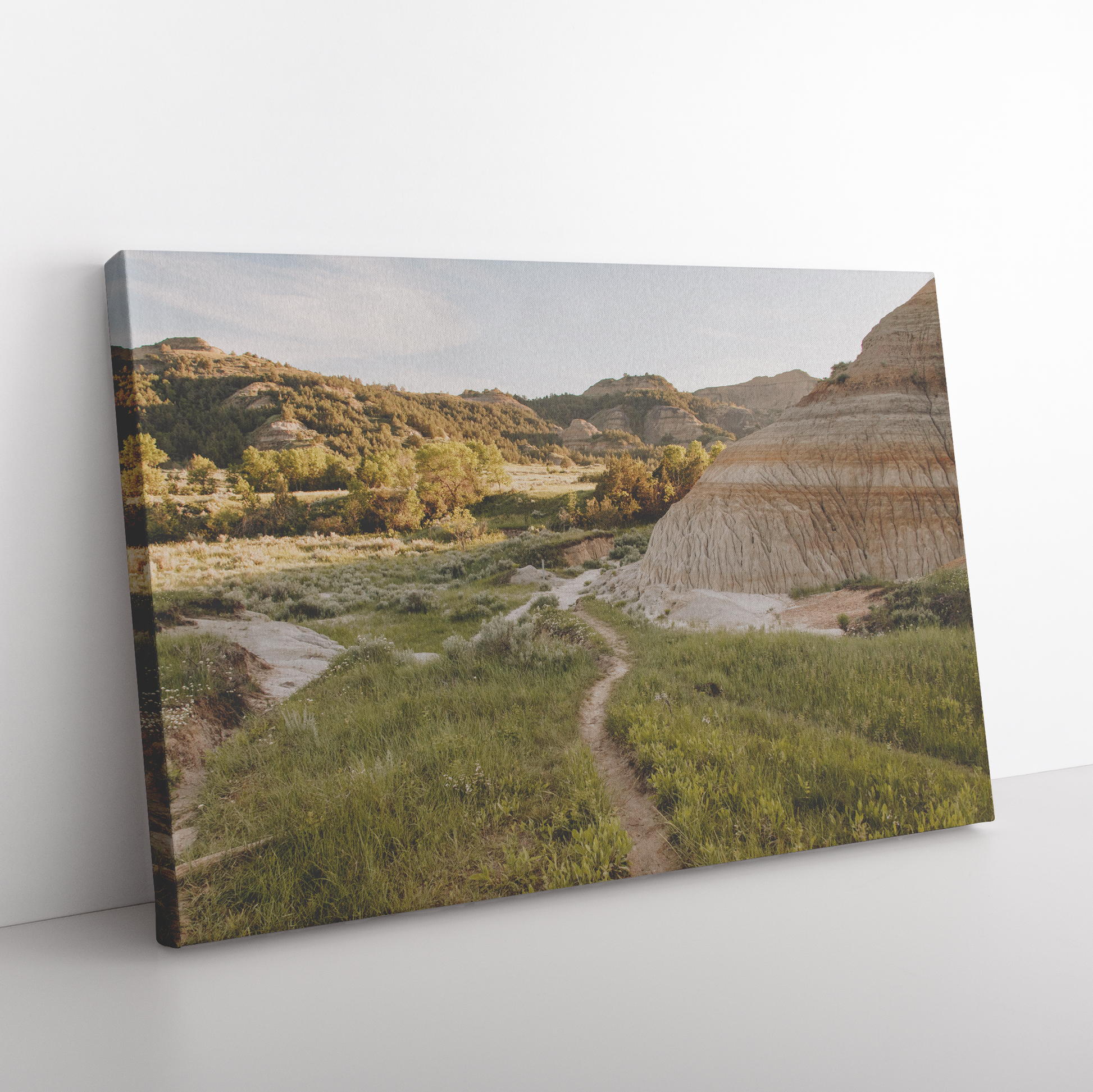 Take_a_Hike_Canvas_by_Hannah_Acheson_-_O_H_Rectangle_Angle_Floor_Mockup.png